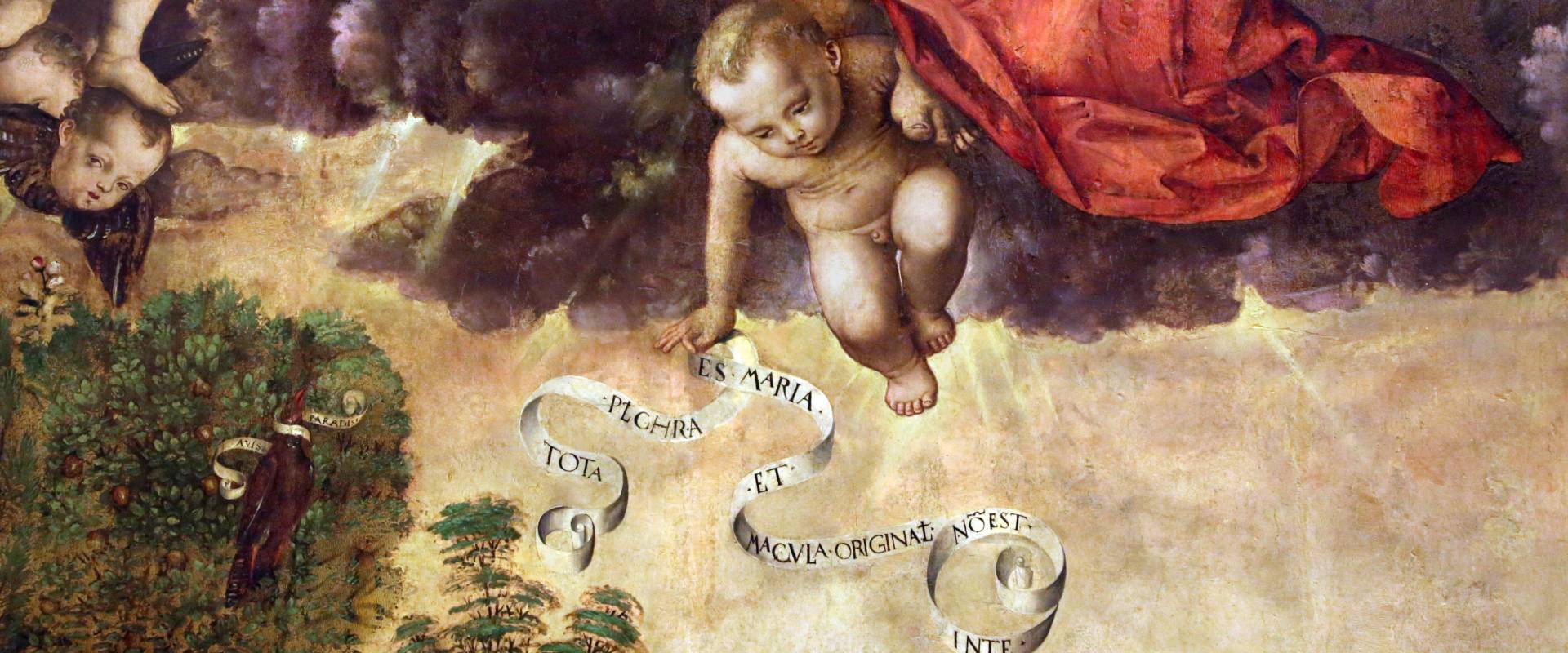 Francesco zaganelli da cotignola, concezione della vergine, 1513, da s. biagio in s. girolamo a forlì, 03 angelo con cartiglio photo by Sailko